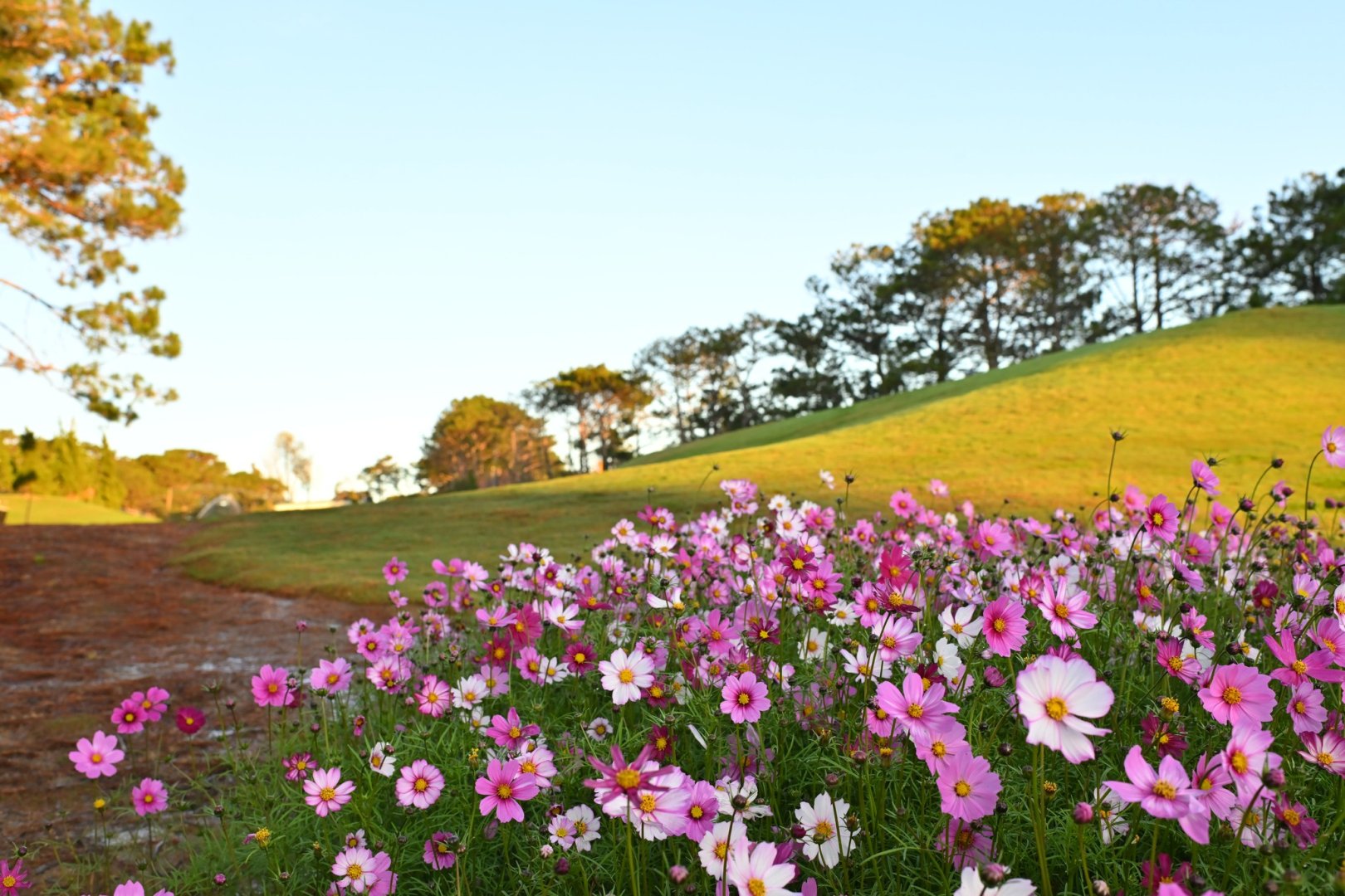 Dalat Palace Golf Club
