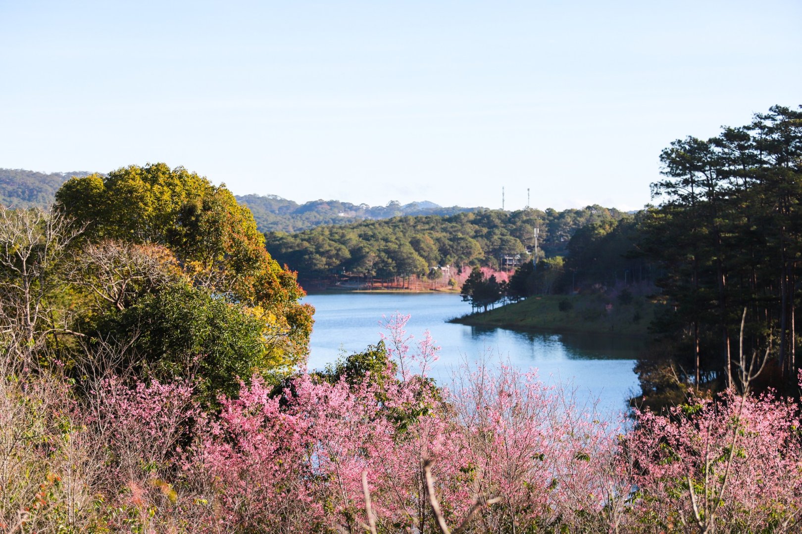 SAM Tuyen Lam Golf Club