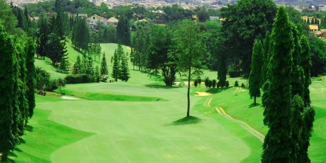 Dago Heritage 1917 Golf Course