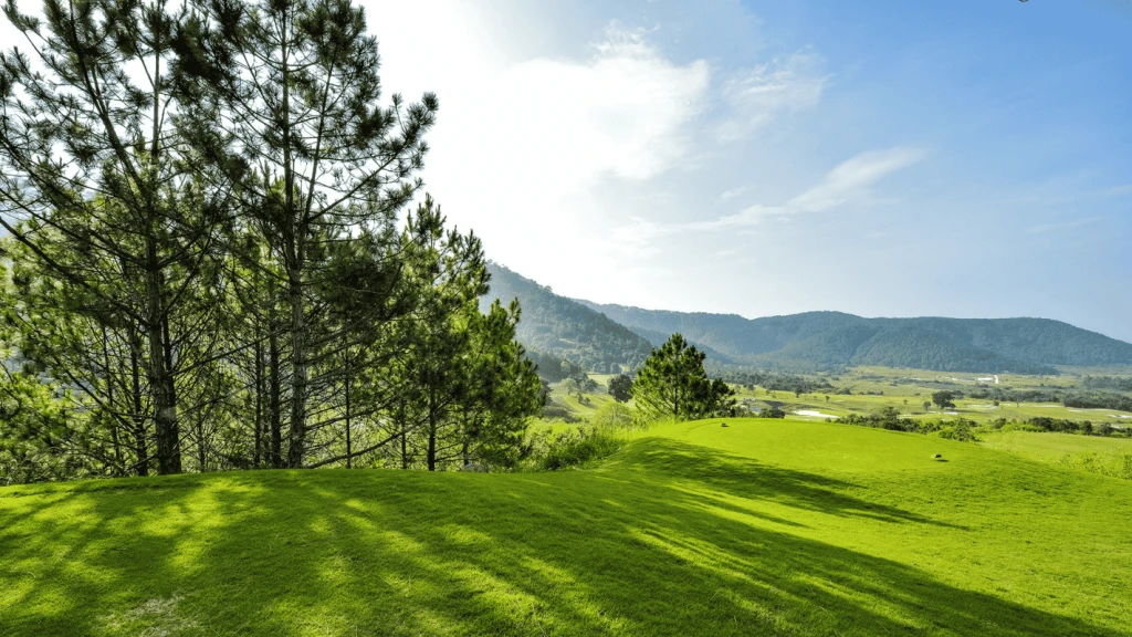 The Dalat at 1200 Country Club