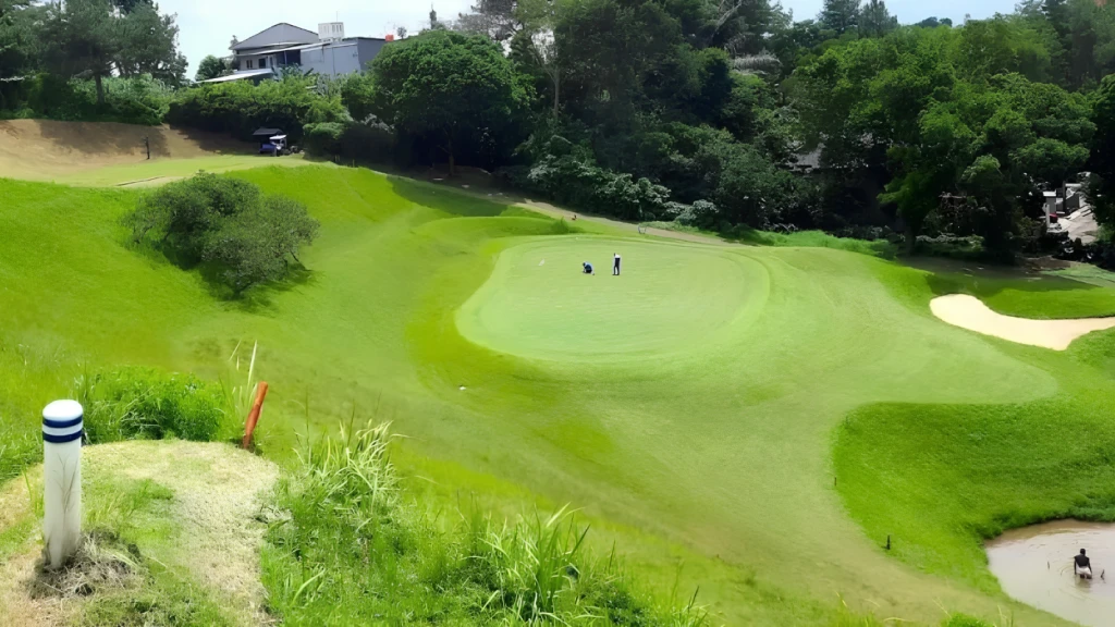 Dago Heritage 1917 Golf Course